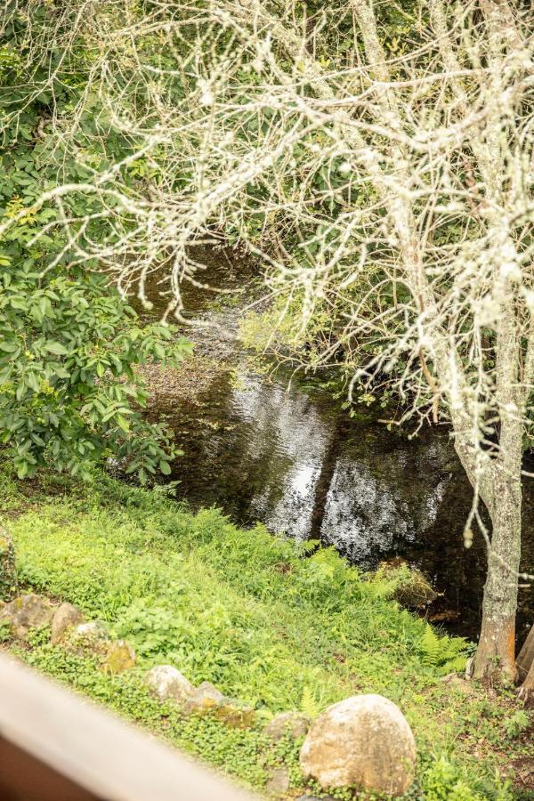 منزل الضيف Couzadoiro  في Lugar Del Rio المظهر الخارجي الصورة
